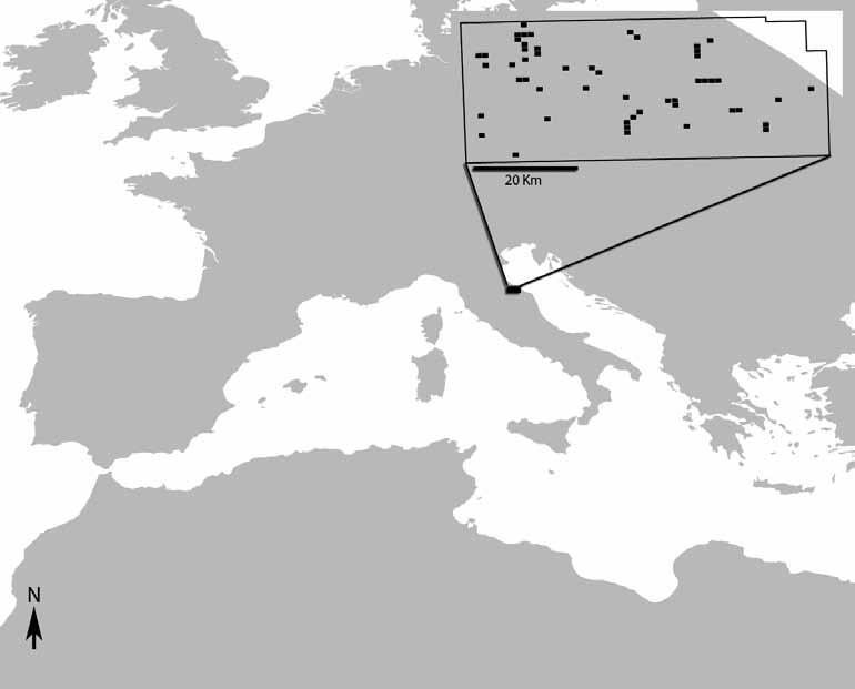 Fig.. Study area in Central Italy and x km square census units and occurrence of Ortolan Bunting during and.