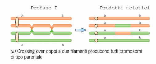 Linearita tra frequenza di