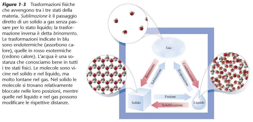 Esempi di trasformazioni fisiche: i cambiamenti di stato Figura 1-3 Trasformazioni fisiche che avvengono tra i tre stati della materia.