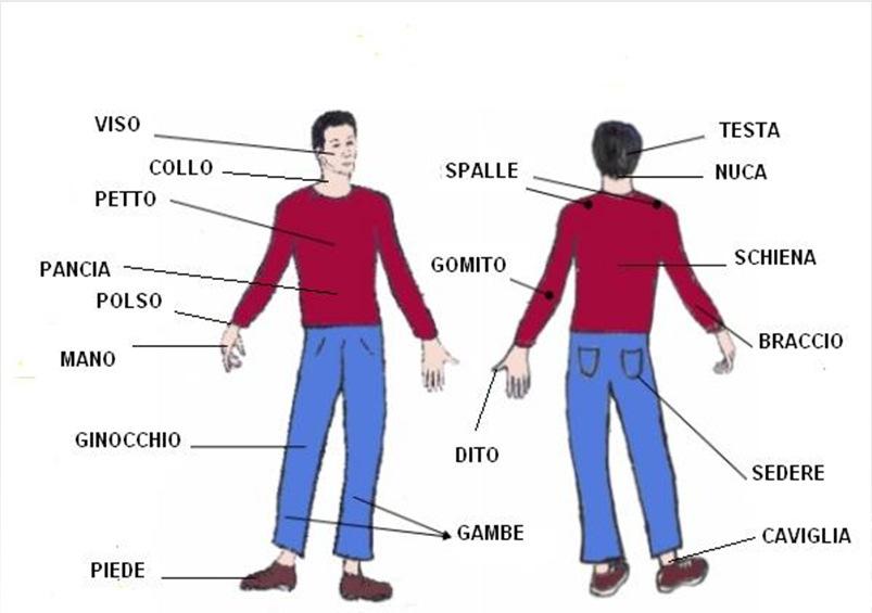 metodologia di indagine: il