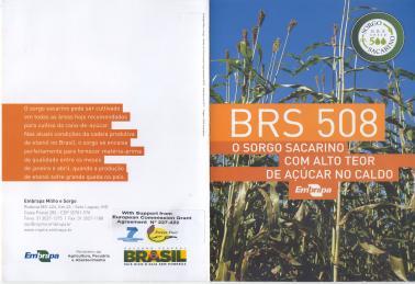 Varieties released by Embrapa with the support of Sweetfuel project BRS 508 Yield (f.w.): 50-70 Mg ha -1 Plant height: 320 cm lodging: resistant o Brix: 18-23 BRS 511 Yield (f.