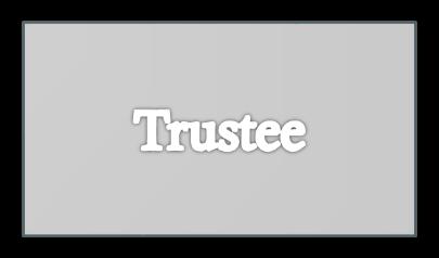 Trust individuale L.