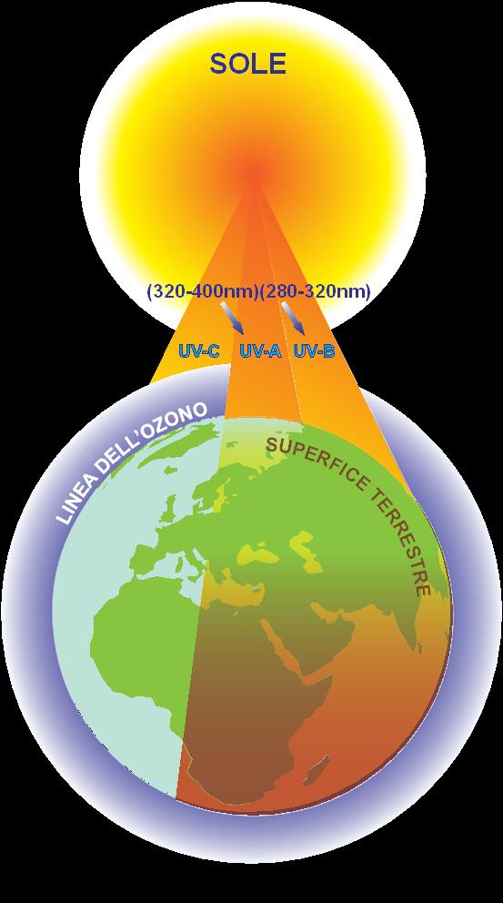 Tutti siamo esposti a una certa quantità di radiazioni ultraviolette (UV) provenienti in gran parte dal sole, ma anche da fonti artificiali usate nell industria, nel commercio e nel settore