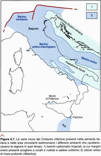 Cretacico Inferiore (120-145 ma) 1 Calcari di piattaforma, Calc.