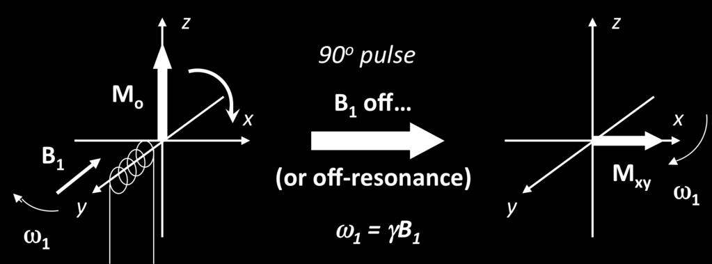 L assorbimento e la dispersione si ottengono poi dalla trasformata di Fourier del segnale.
