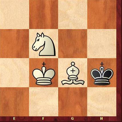 Questi posizioni di scacco matto hanno una cosa in comune: Il Re avversario deve essere sempre sul bordo se non