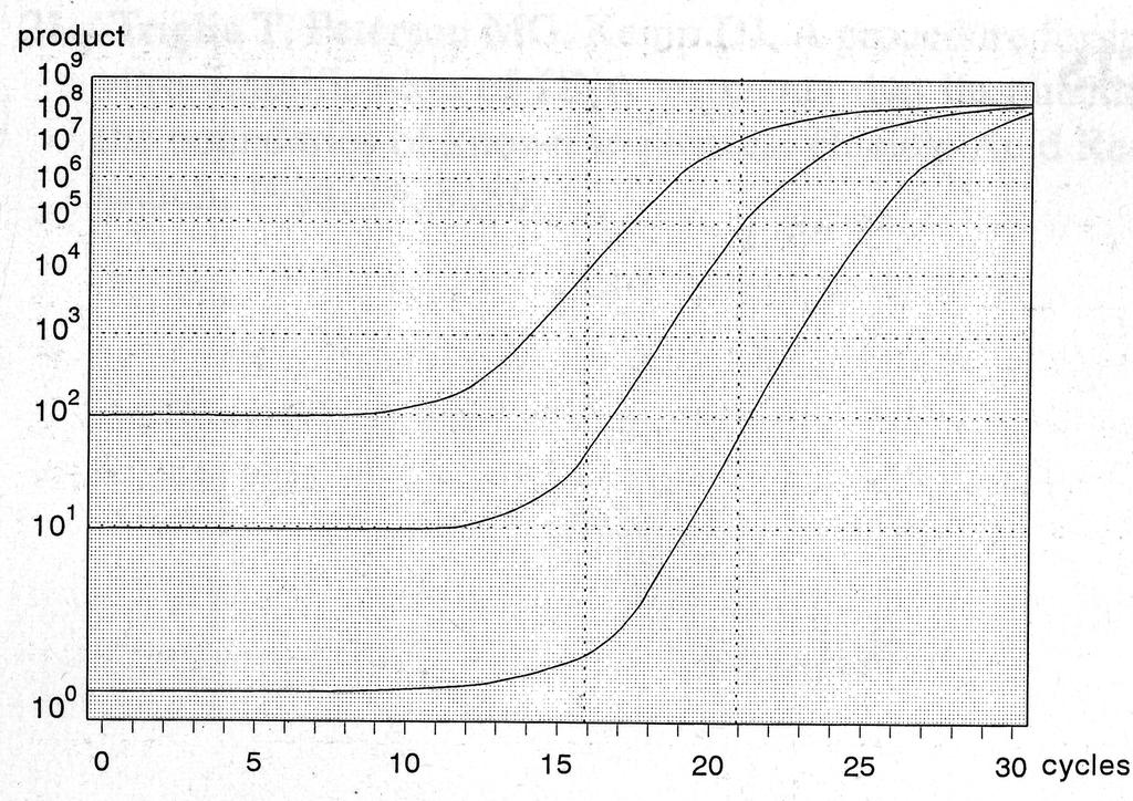 724 Y= N2 STESSA FORMULA CON FATTORE DI CORREZIONE CURVA DI REAZIONE PCR Y = N2 n-1 CICLO 3 CICLO 4 CICLO 5 CICLO 6 22=4 23=8 24=16 25=32 1) 2) Rappresentazione