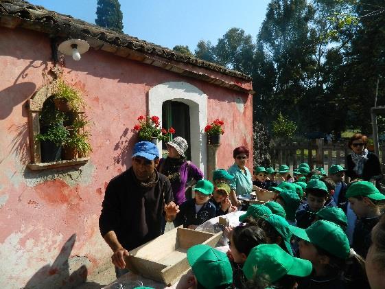 L'offerta è diretta agli insegnanti che insieme ai propri alunni intendono creare un riscontro pratico tra alcune discipline scolastiche e le proposte della fattoria, quali la