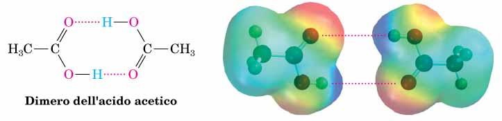 La presenza di un sito donatore ed uno accettore di legami ad idrogeno consente la formazione di dimeri.