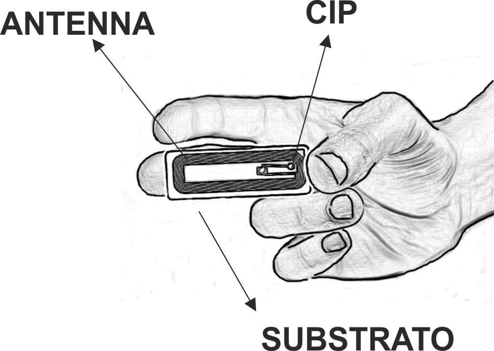 COME E FATTA UNA ETICHETTA RFID PASSIVA (o tag) 04 Gli elementi principali di una etichetta RFID passiva sono: Circuito. Antenna. Substrato.