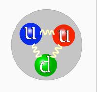I Costituenti elementari della materia Domanda: Che forza lega i quarks nel protone?