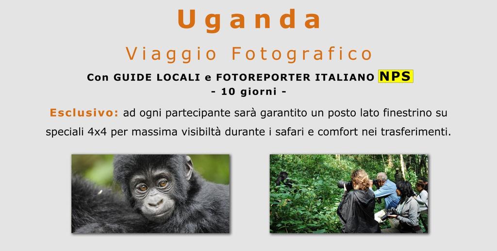 I paesaggi sono incontaminati, le savane incontrano i grandi laghi e la giungla pluviale si estende fin sotto i ghiacciai del Ruwenzori, la catena montuosa più alta dell'africa.