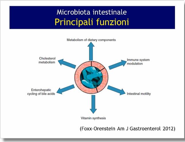 Microbioma: