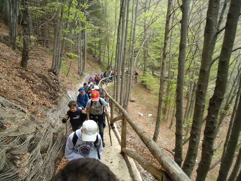 Trasferimento a Giazza, all imbocco della Foresta e Parco Naturale della Lessinia.