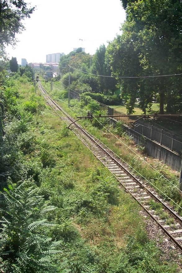 Obiettivi del progetto Generali: 1. Aumento della permeabilità ecologica urbana. 2. RIGENERAZIONE URBANA: Aumento degli spazi verdi naturali in ambito urbano. Specifici: 1.