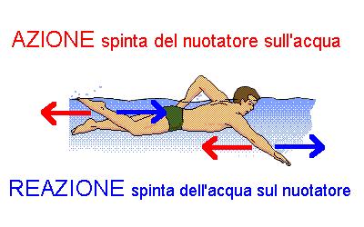 Terzo principio della dinamica o principio di azione e reazione Ad ogni