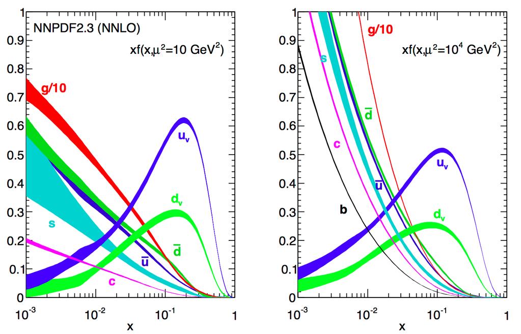 Densità partonica Esempio: NNPDF https://nnpdf.hepforge.org A grande x dominano i quark di valenza. A piccolo x il mare di quark e gluoni.