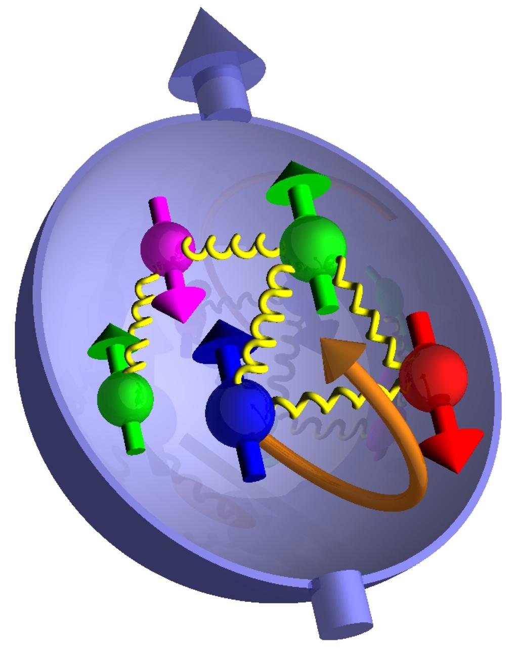 Proton Spin Crisis Solo una piccola parte (circa un quarto) dello spin del protone è rappresentato dall elicità dei quark ½ = + ½ΔΣ