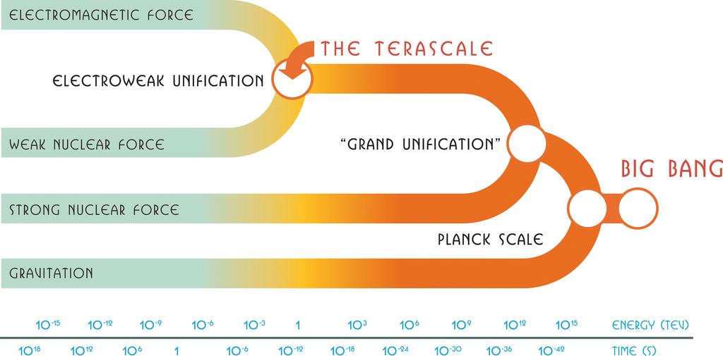 Scale crescenti di unificazione delle forze Unificazione elettrodebole: Grande