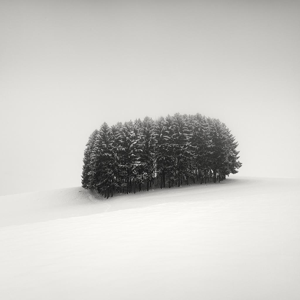 5 Pierre Pellegrini (Sorengo CH 1968) L inverno unisce 2014 cm 30 x 30 immagine cm 50 x 50 foglio Stampa ai pigmenti di carbone su carta cotone.