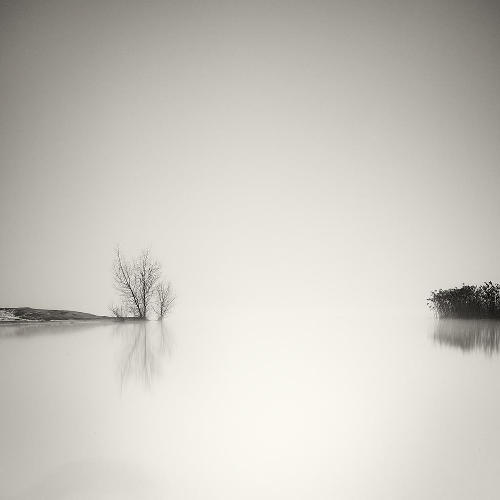 9 Pierre Pellegrini (Sorengo CH 1968) Distanza 2010 cm 30 x 30 immagine cm 50 x 50 foglio Stampa ai pigmenti di carbone su carta cotone. Firmata, titolata, datata e numerata dall autore al verso.