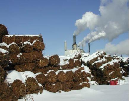 29 Applicazione alle biomasse Biomasse: colture energetiche dedicate (arboree, erbacee) residui agricoli,