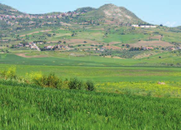 LA GARANZIA Per la preparazione dei formaggi freschi dell azienda Antica Tenuta Malerba non si fa ricorso a trattamenti termici di pastorizzazione, proprio per lasciar intatta la ricchezza dei