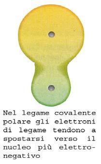 elettroni è spostata verso l elemento più elettronegativo. Nel primo caso il legame covalente è puro, nel secondo caso è polare. E il caso dell acqua.