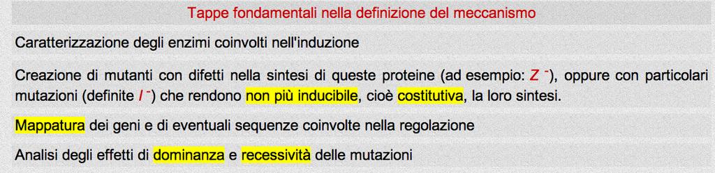 LA SCOPERTA DELL'OPERONE LA FORZA DELLA GENETICA: gli esperimenti di Jacob e Monod i batteri sono aploidi (una sola copia ci ciascun gene) Jacob e Monod hanno realizzato dei batteri parzialmente