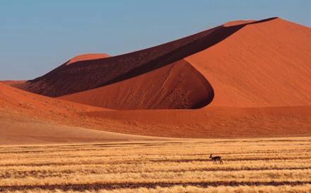 NAMIBIA SELF DRIVE Namibia Classica Un tour che consente di scoprire ed esplorare in piena libertà i più classici e suggestivi paesaggi naturali della Namibia: dalle spettacolari dune fossili di e