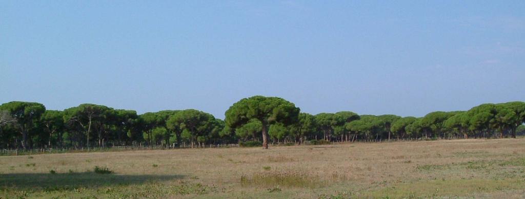 Riflessioni : 1) l utilità di dare sostegno alla ricerca e alla sperimentazione; 2) la necessità e l importanza di