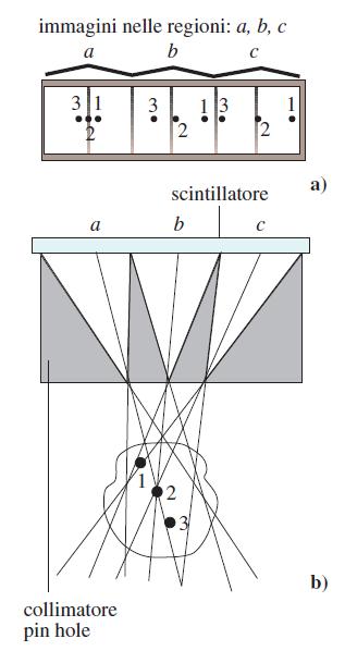 o Vi sono essenzialmente due tipi di SPECT, a seconda dell orientamento del bersaglio rispetto al rivelatore che produce le immagini tomografiche: longitudinale e assiale.