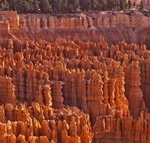 acqua che ne hanno modellato le pareti. La luce che attraversa le rocce rosse con sfumature violacee e arancioni produce degli effetti sbalorditivi.