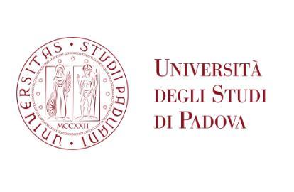 Università degli Studi di Padova Dipartimento di Studi Linguistici e Letterari Corso di Laurea Magistrale in Linguistica Classe LM-39 Tesi di Laurea Potenzialità e limiti della Teoria