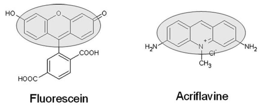 Fig. 36: Struttura molecolare della fluoresceina e acriflavina. Sono evidenziate le analogie strutturali. Eccitazione 490 nm.