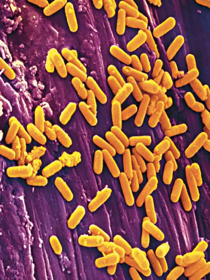 Numeri grandi e numeri piccoli Un numero indicato in notazione scientifica è