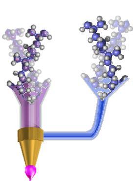 , Carfagna, C. (2014). European Polymer Journal, 60, 145-152.