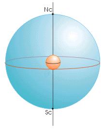 Emisfero Boreale Emisfero Australe Φ equatore celeste Quest asse incontra la Sfera Celeste in due punti: il Polo Nord (Nc) e il Polo Sud (Sc) celesti.
