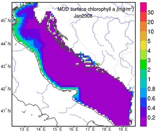 CONFRONTO CON DATI DA SATELLITE: CLOROFILLA