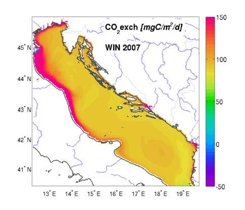 POMPA DI CARBONIO FLUSSO DI CO 2