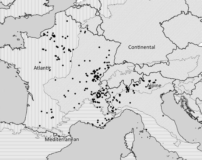 Conosci i tuoi amici Scoiattolo Rosso Definizione della comunità