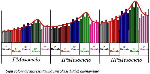 MACROCICLO Il Macrociclo rappresenta l anno di allenamento. Vincolato alla palestra, generalmente varia da settembre a luglio.