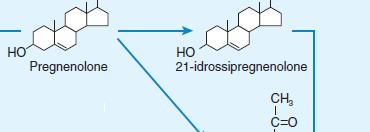 mineralcorticoide è l