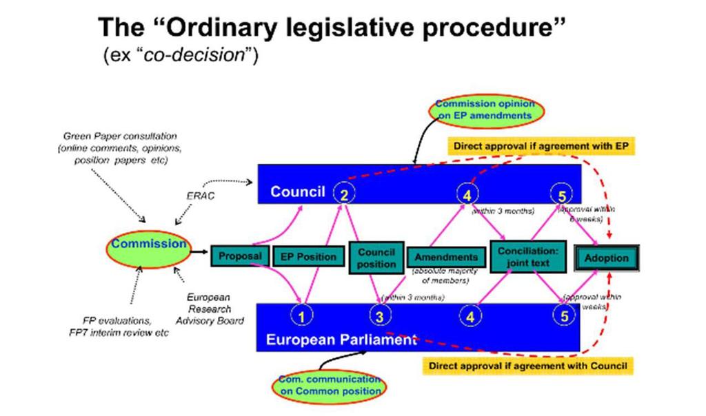 Il processo