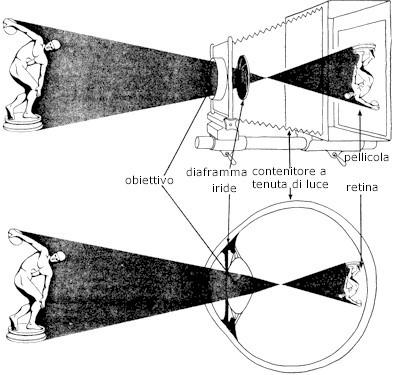 I raggi di luce generati da una fonte luminosa colpiscono un oggetto, che ne riflette una parte in tutte le direzioni.