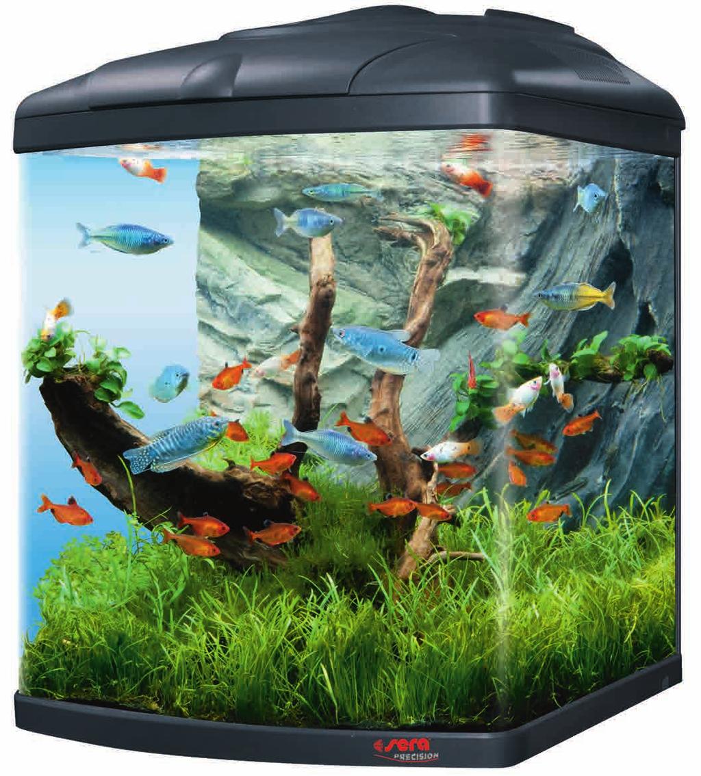 sera Biotop Cube 0 XXL (nr. ) Avete una vista completa e libera sui vostri pesci. Per questo non vanno introdotte piante alte.