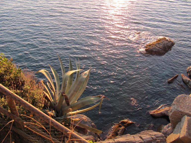 Si sta facendo sera, riprendiamo il treno ed andiamo a ritroso fino a Manarola che avremmo preferito raggiungere a piedi con la Via dell