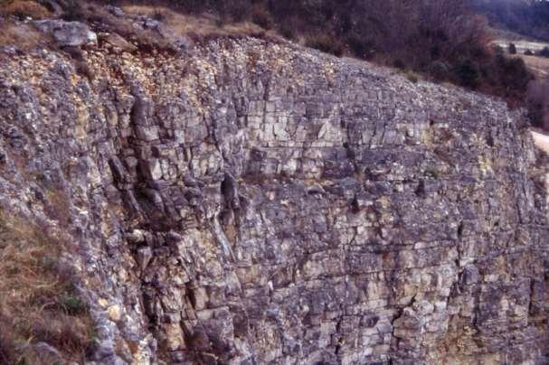 STOP 5A: LA CAVA FIAONI Origine del nome: dal cognome del proprietario, lo