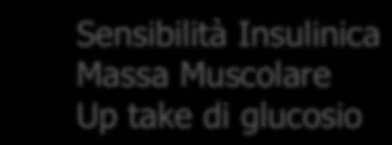 Muscolare Up take di