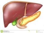 Riduzione dell assorbimento intestinale di glucosio Glifozine Diminuzione